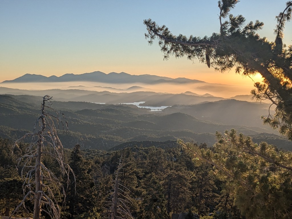 A Test of&nbsp;Categories